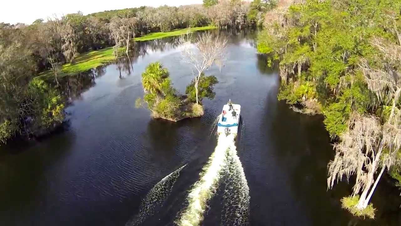 Withlacoochee river, Dunellon, Florida 012814 YouTube