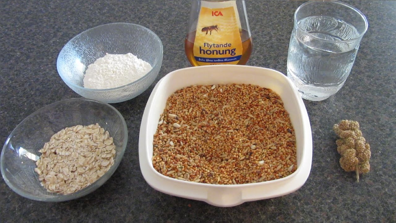 How To Make HEALTHY Homemade Bird Treats! (All birds!) YouTube