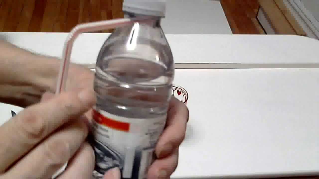 Easiest and Fastest Bedbug Trap ever YouTube