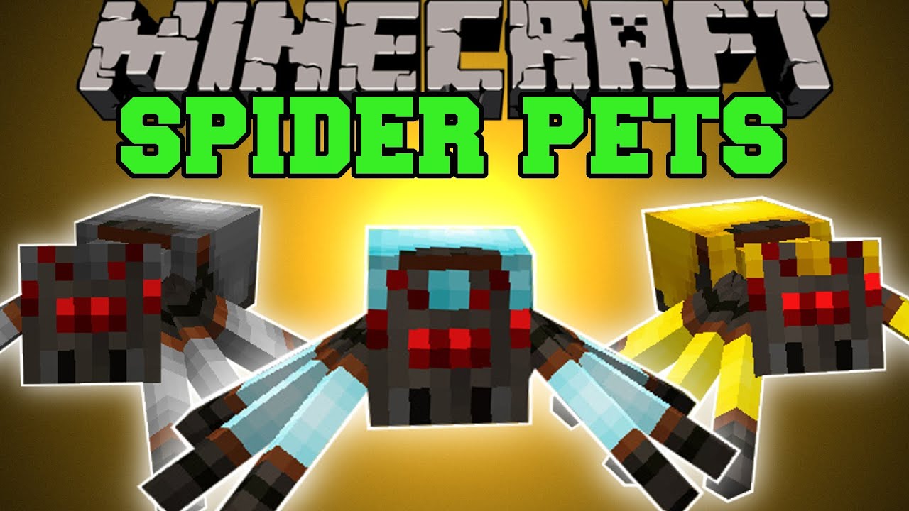 Minecraft SPIDER PETS (RIDE SPIDERS, GIVE THEM ARMOR, KILL MOBS!) Mod Showcase YouTube