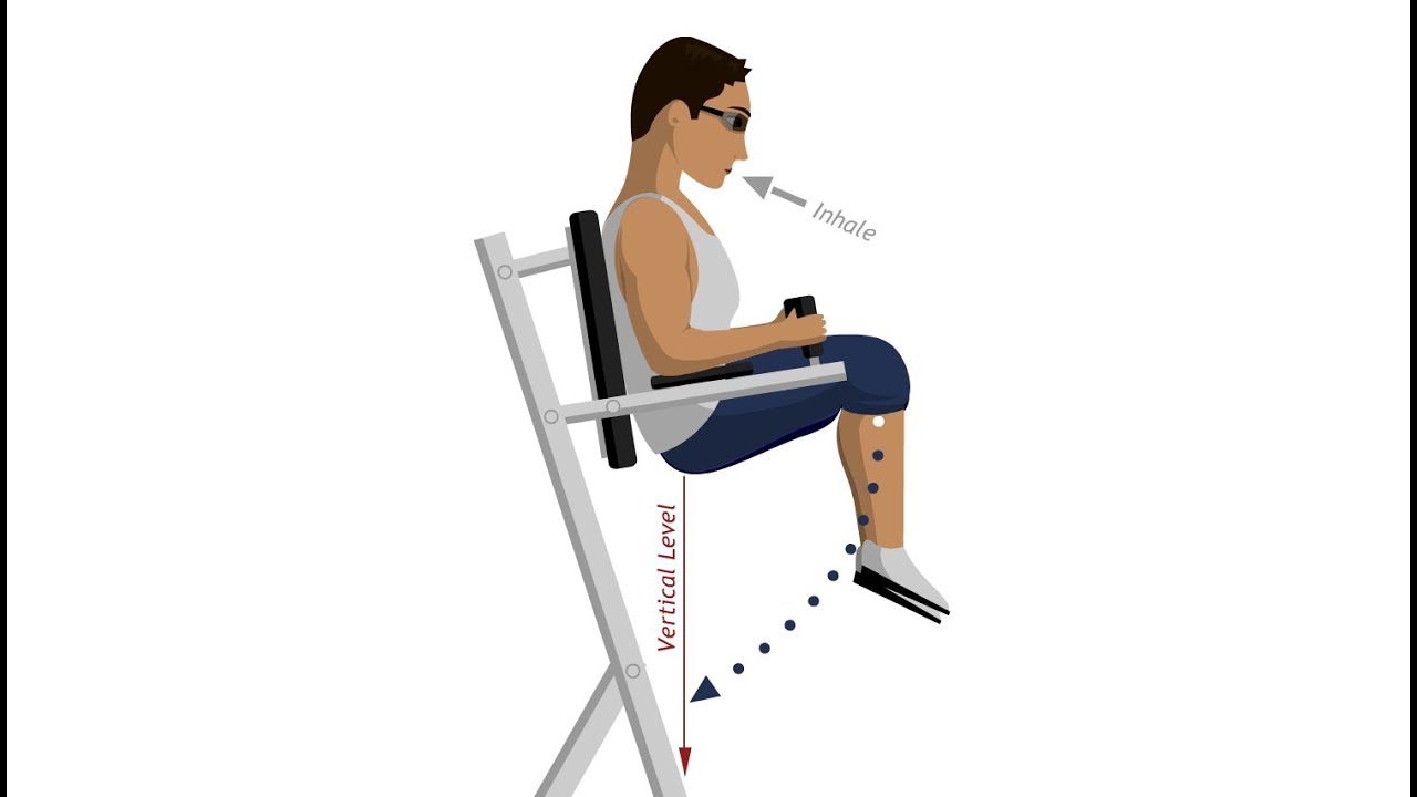 Roman Chair Leg Raise Abdominal Exercises YouTube