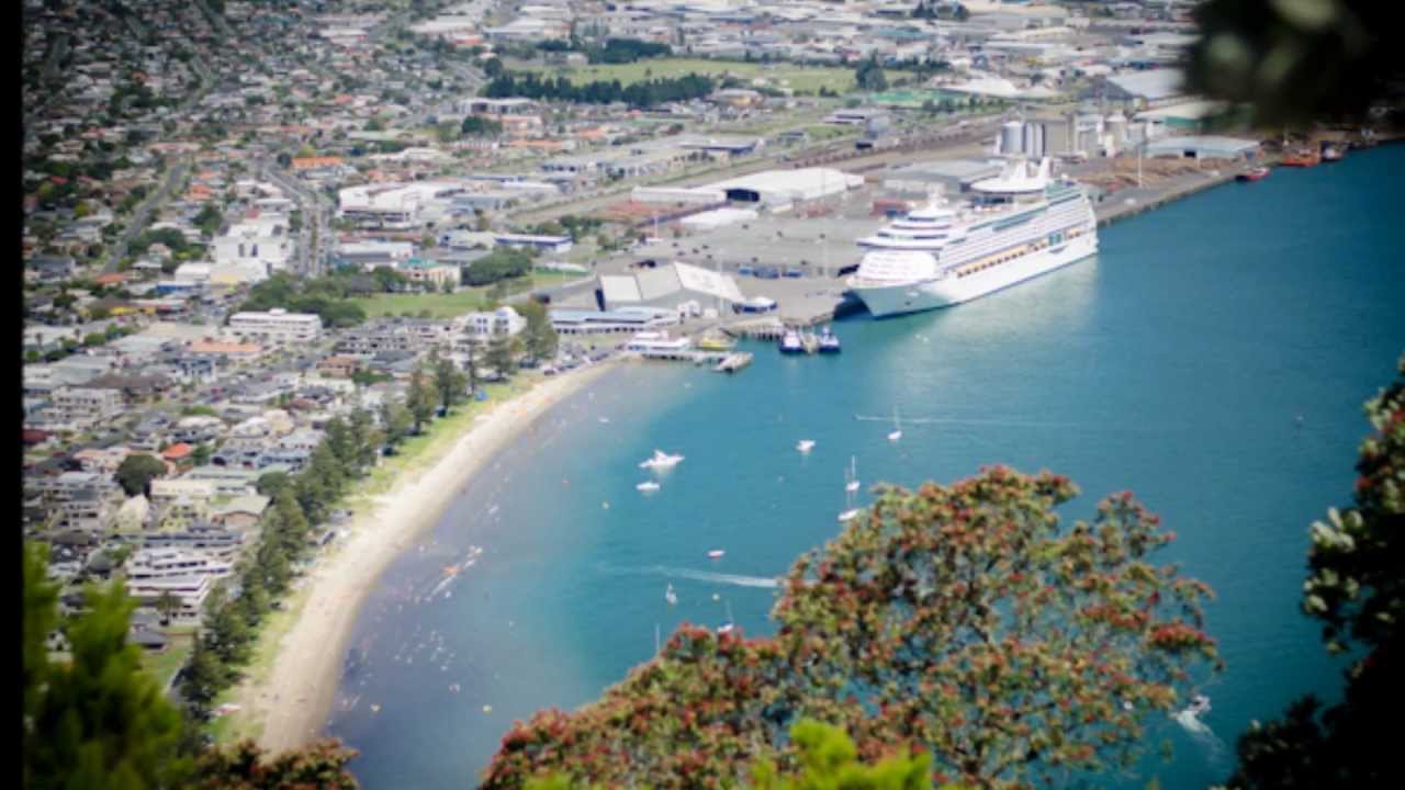 Port of Tauranga Tours Shore Excursions Day Trips with