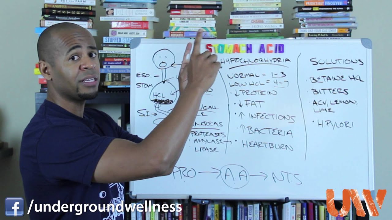 The TRUTH about Stomach Acid! YouTube