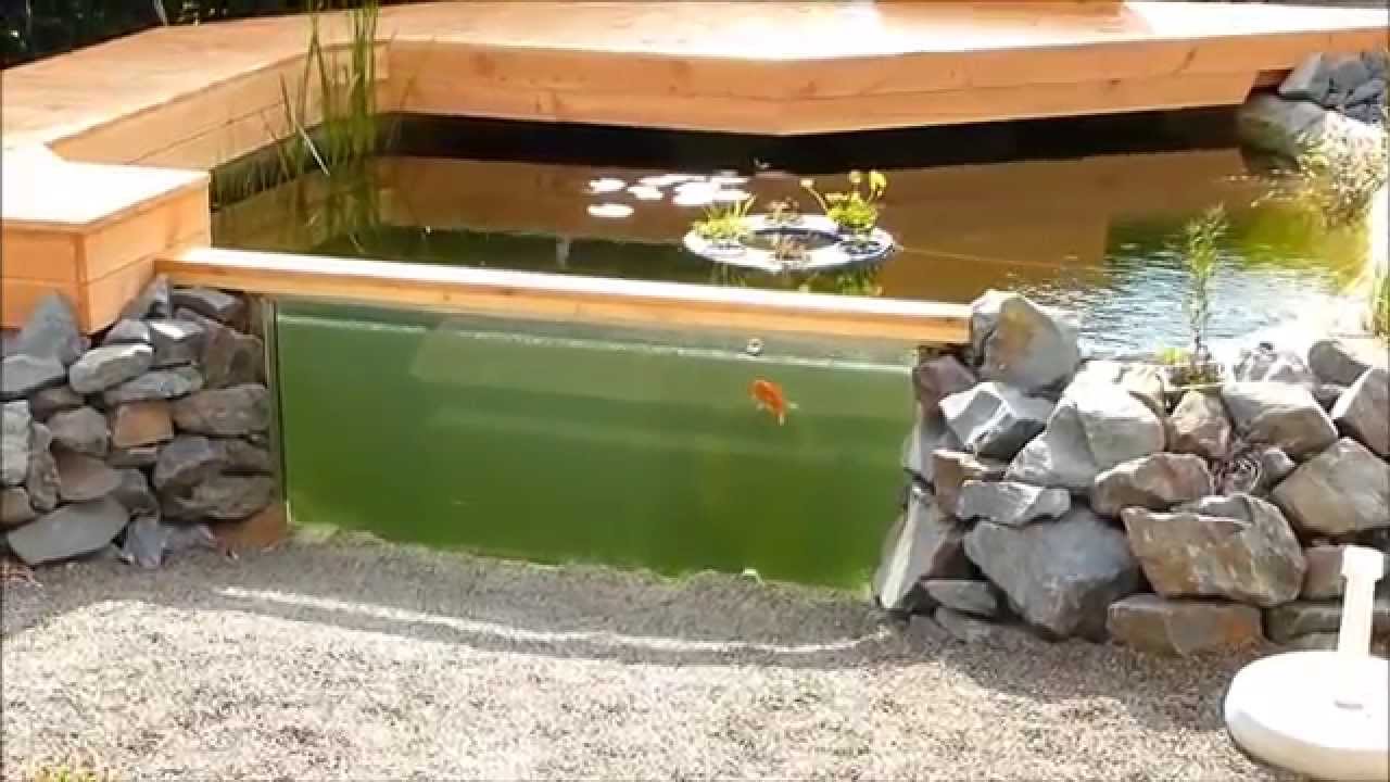 Mein Gartenaquarium YouTube