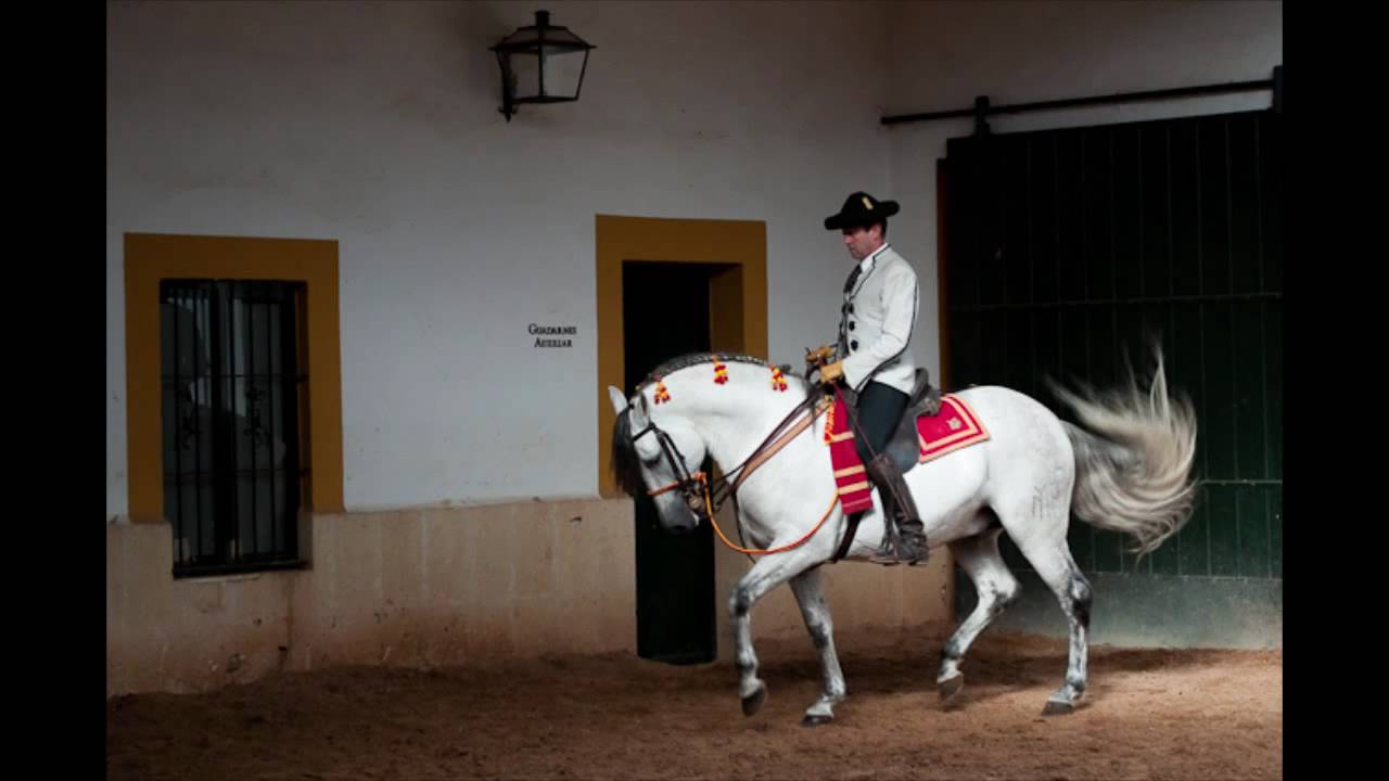 The Dancing Horses of Jerez, Andalucia YouTube