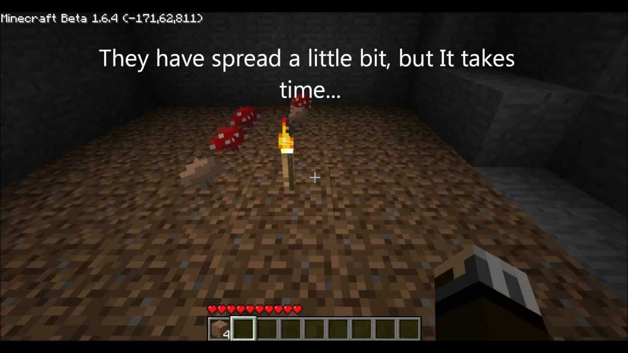 Minecraft How to grow mushrooms (simple version) YouTube