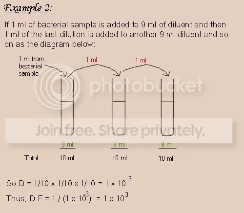 Useful Dilution Techniques & Calculations - General Lab Techniques