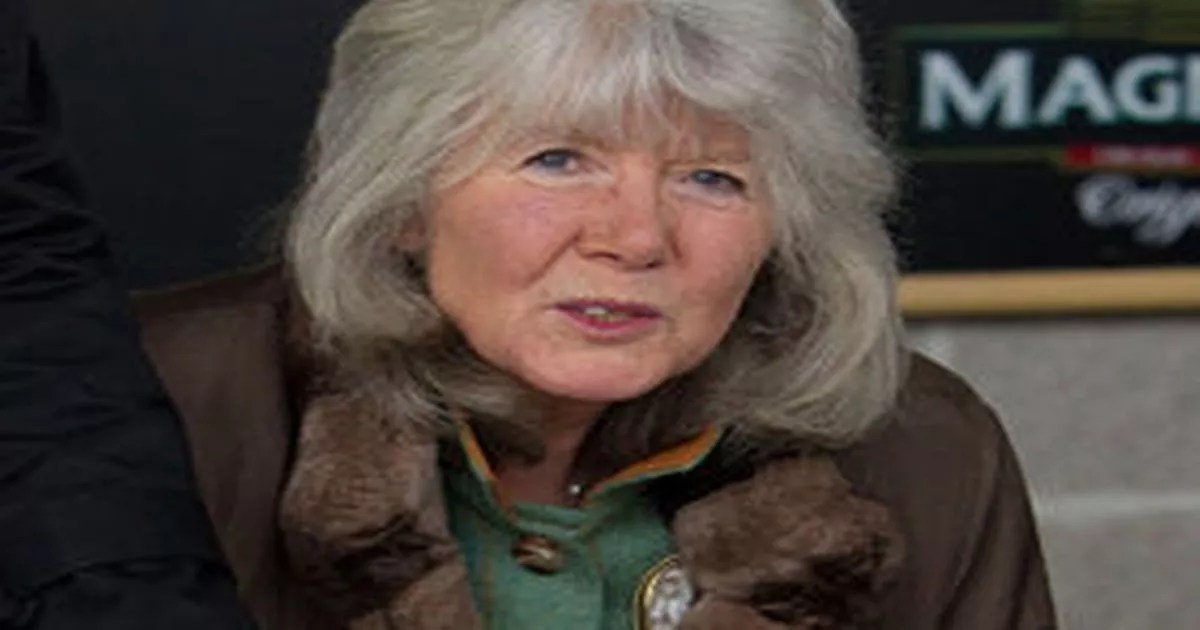 Jilly Cooper on a plate Daily Star