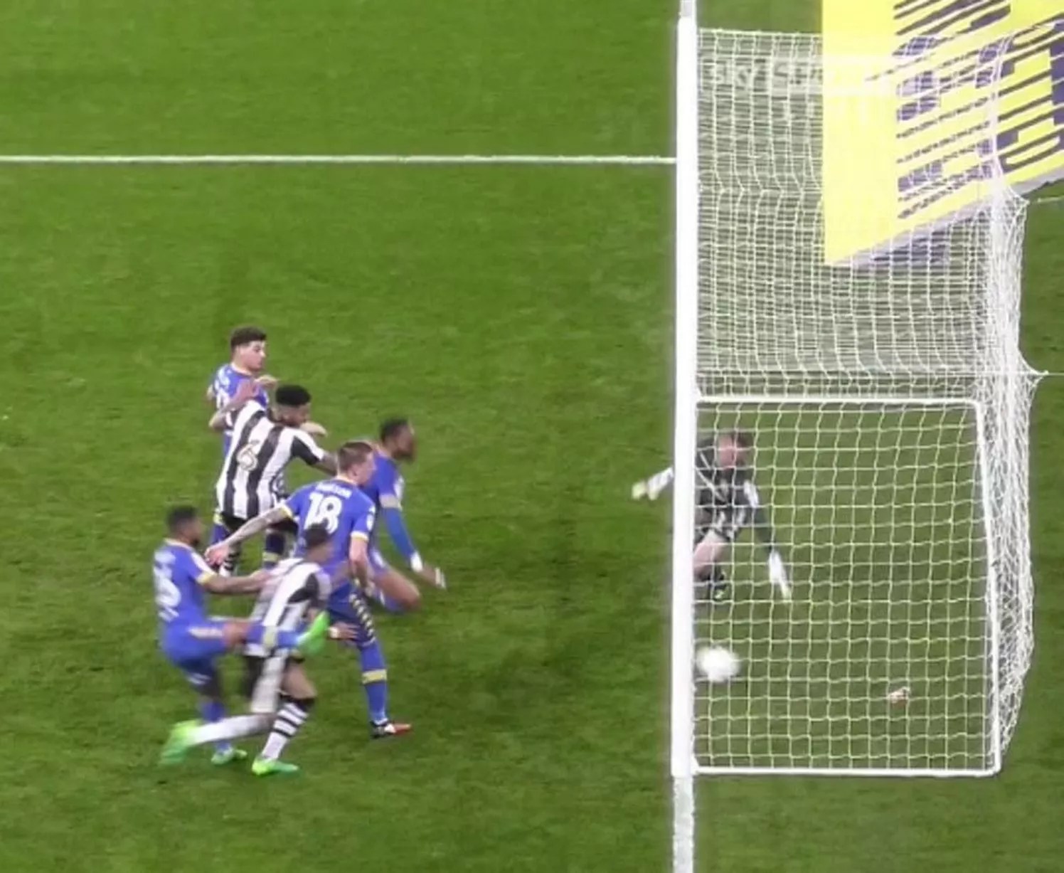 Newcastle's goal against Leeds in pics Daily Star