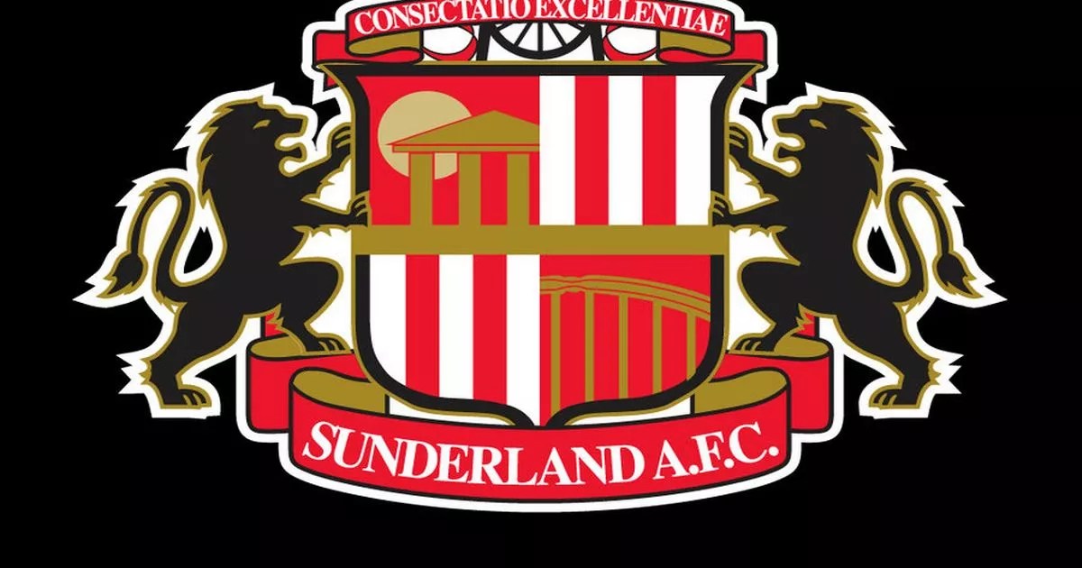 Player ratings Sunderland v Leicester Daily Star