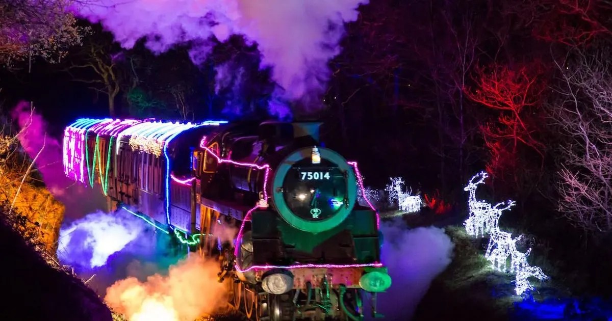 Magical Train of Light at Dartmouth Steam Railway reviewed Devon Live