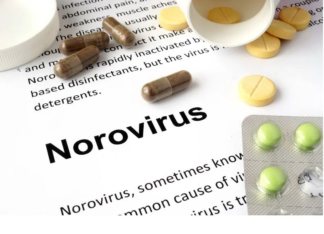 Norovirus outbreaks confirmed in South Devon Devon Live