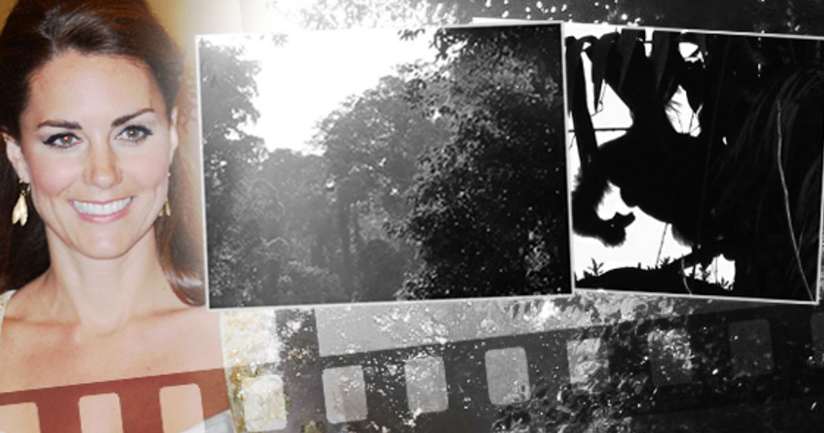 Kate Middleton shows photography skills with Borneo pictures on Duchess