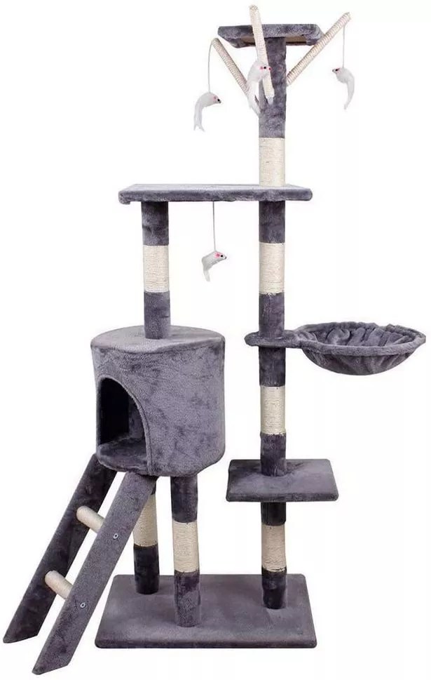 Best cat toys for 2020 to keep your feline friends happy Mirror Online