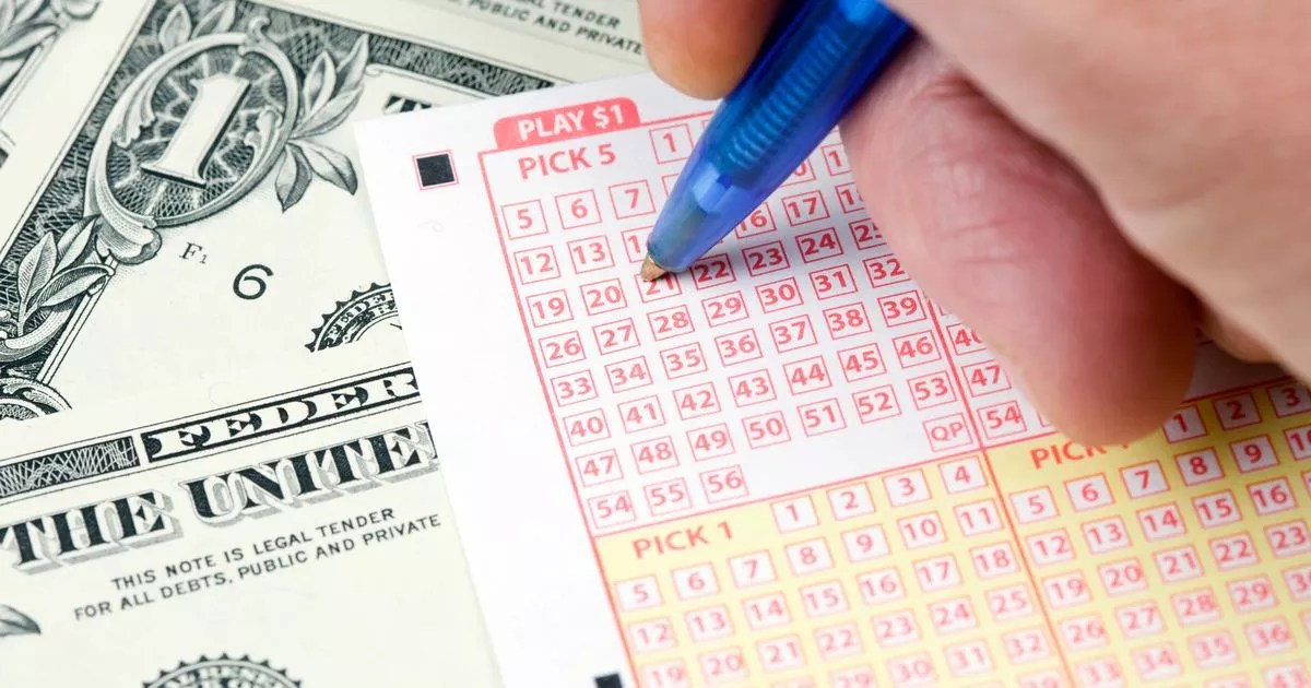 Lottery expert shares top tips to win big and why you haven't won