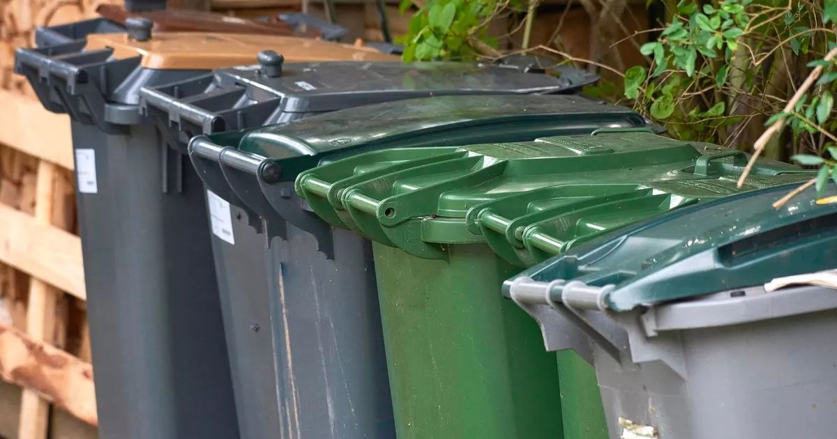 Christmas and New Year bin collection changes for every Hampshire