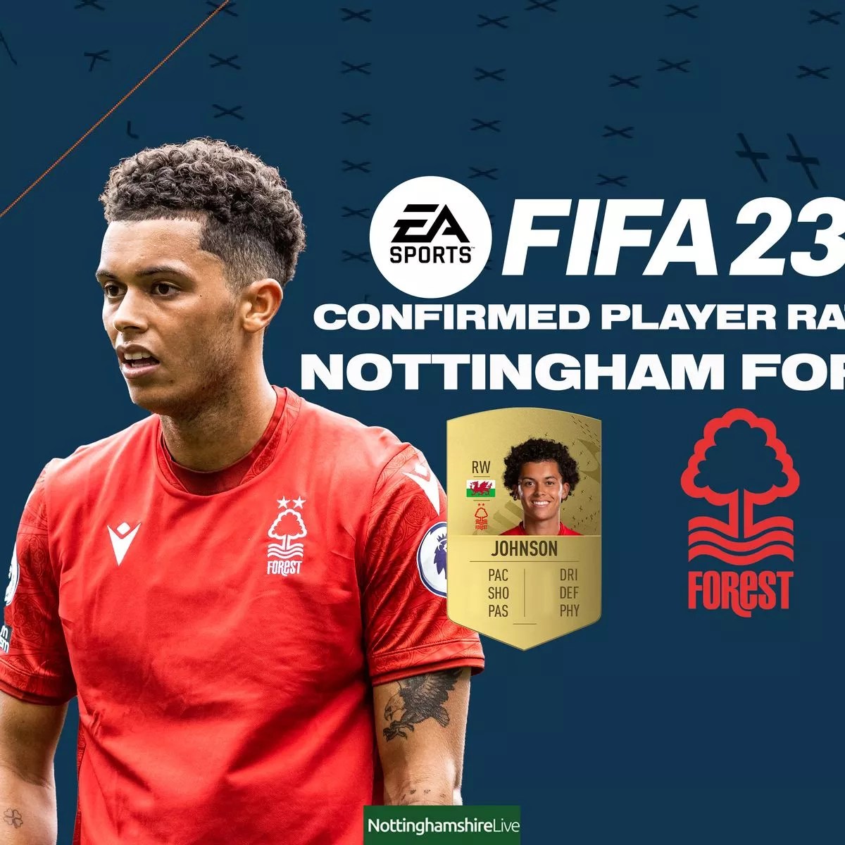 Everton Player Ratings Fifa 23