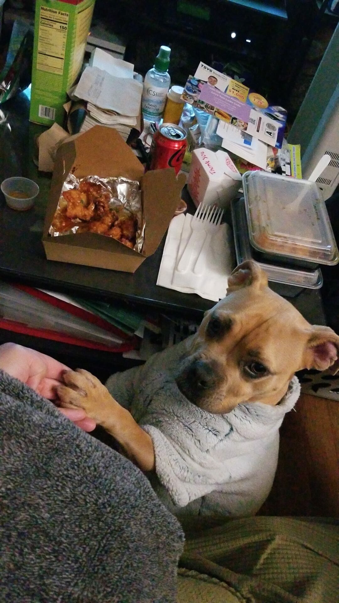 How to administer liquid medication to a dog that absolutely refuses it