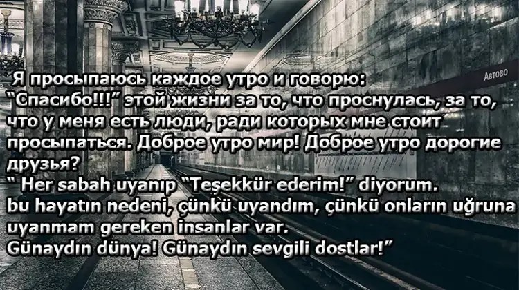 Rusça Sözler Rusça Dilinde Söylenmiş Güzel, Etkileyici Ve Duygusal Aşk
