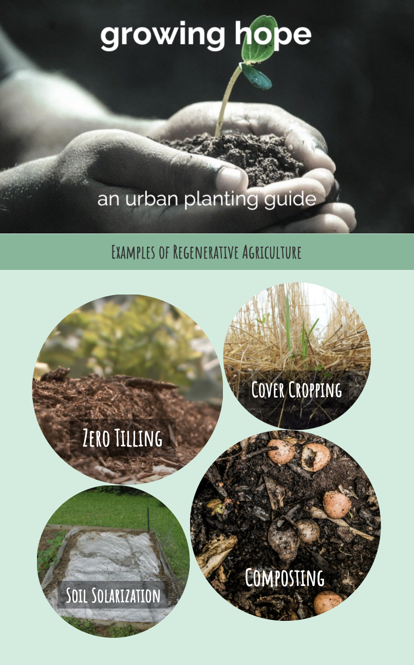 Growing Hope An Urban Planting Guide i2 Today