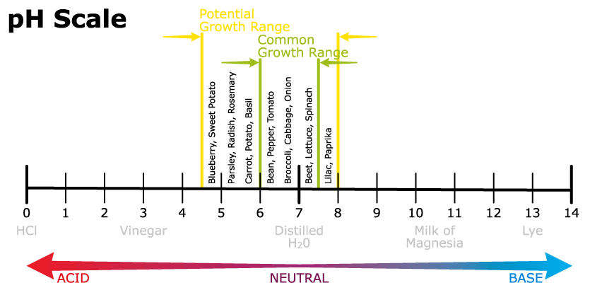 Plant Nutrients 101 How Soil Nutrition Effects Your