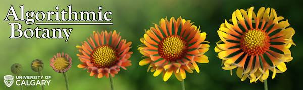 Algorithmic Botany Publications