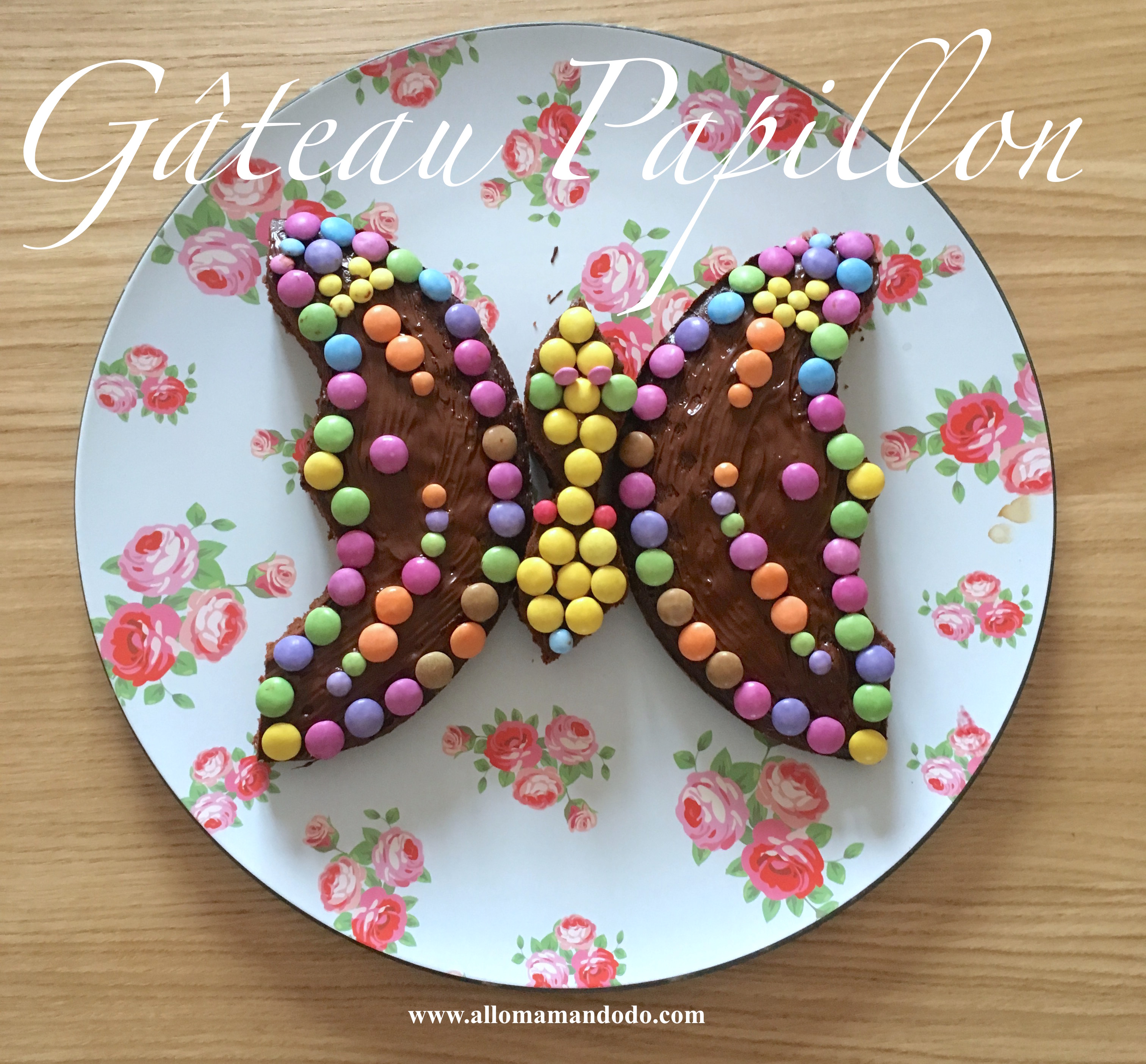 Recette Express Gâteau Papillon en quelques minutes! Allo Maman Dodo
