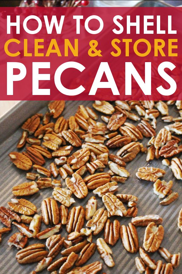 How to Safely Clean and Store Backyard Pecans