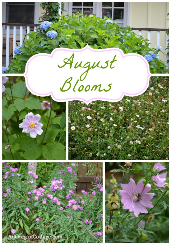 What to Plant for August Blooms