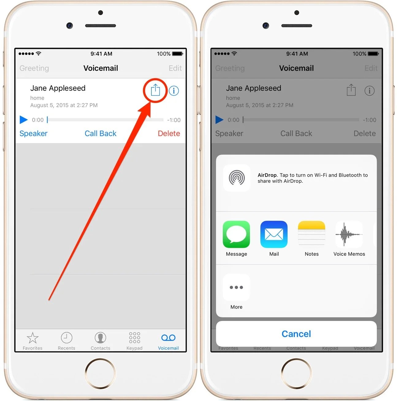 Tips Merekam Panggilan Tanpa Jailbreak Pada iPhone Apple