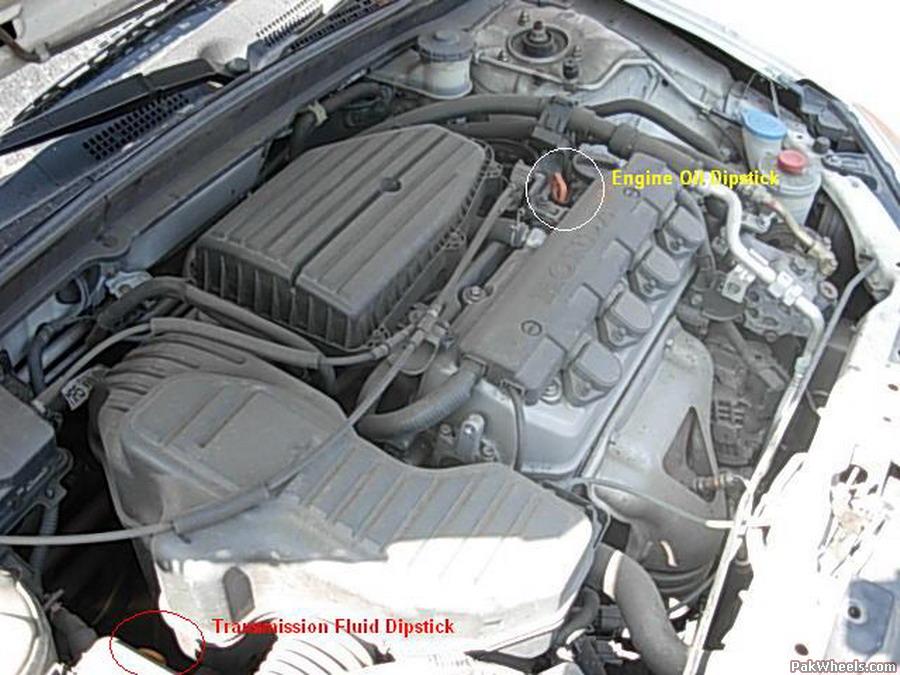 Auto Transmission Dipstick - Honda Civic Forum