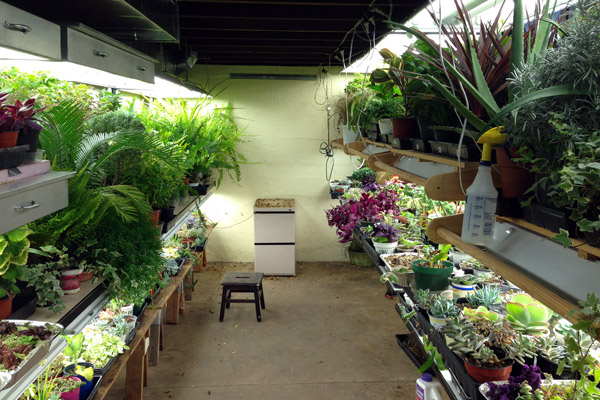 Working in Julie's Plant Room