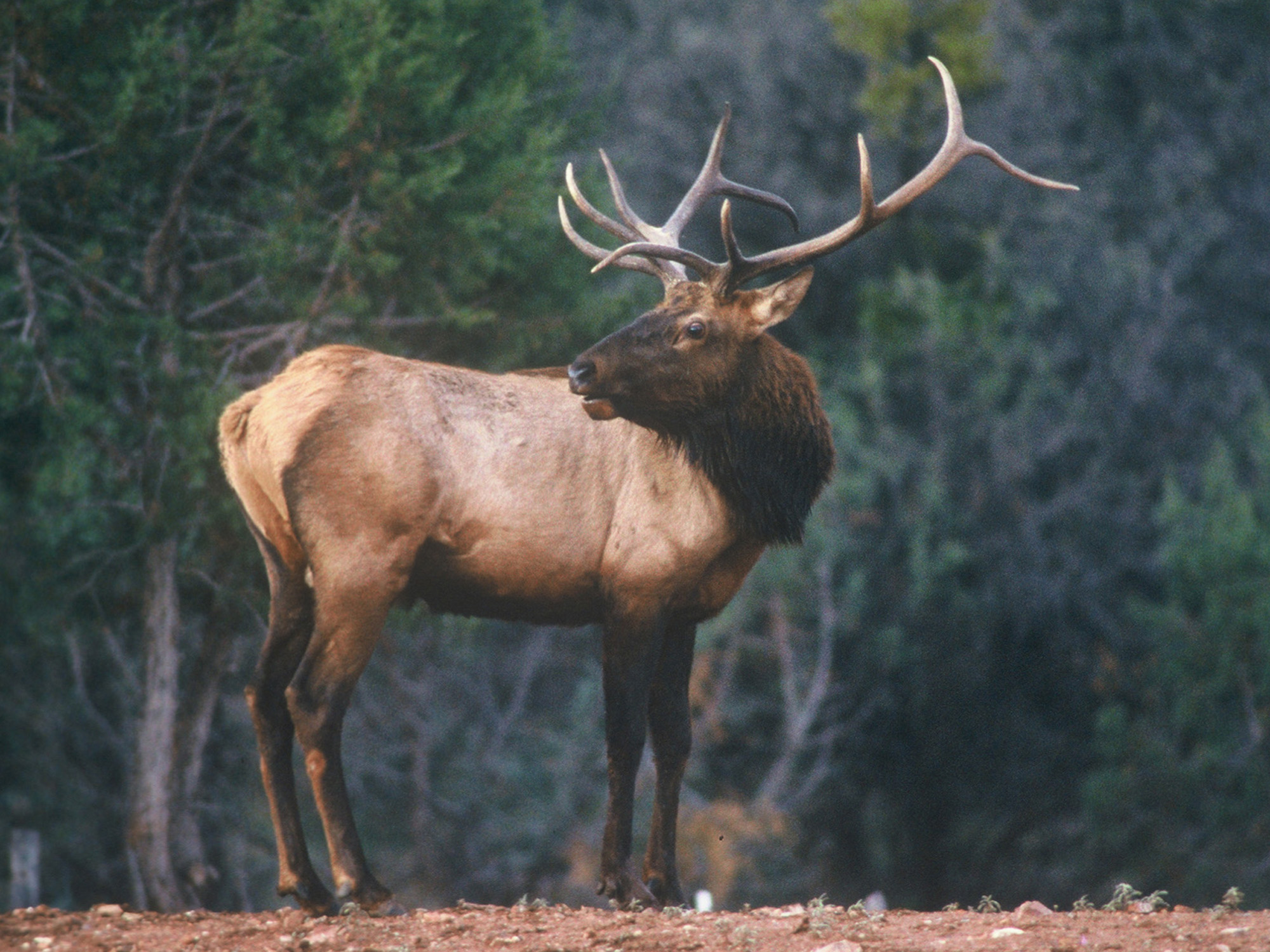 Bill would put commission in charge of Game and Fish fees