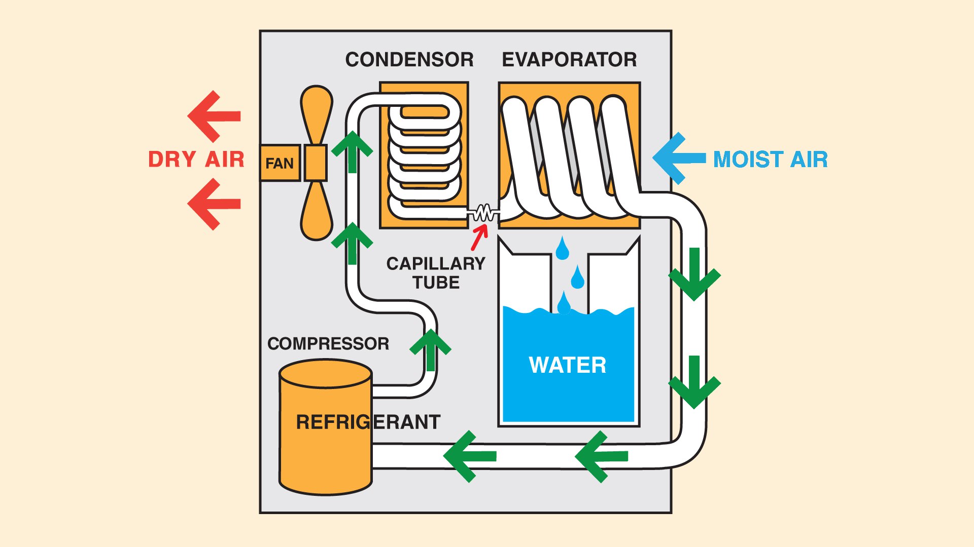 How Dehumidifiers Eliminate Basement Moisture Baseline Inspections