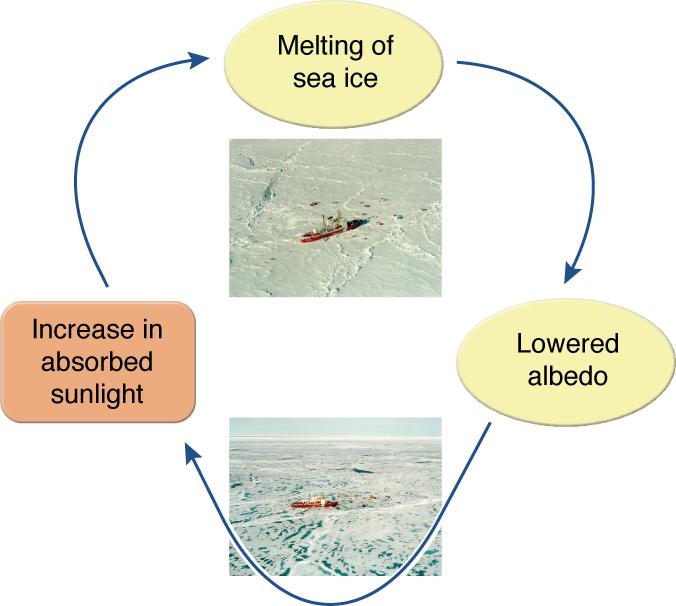 Climate A Complex Interaction — Beyond Weather & The Water Cycle