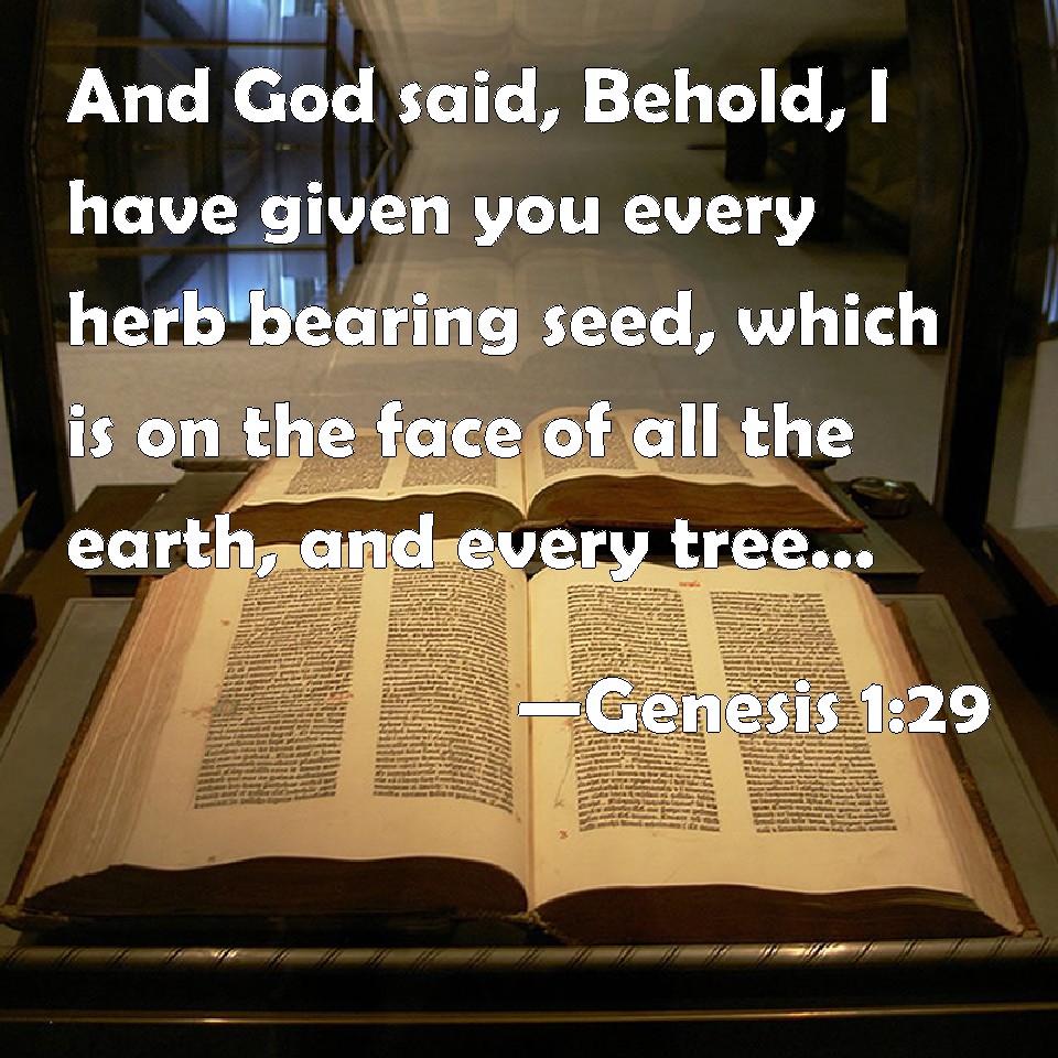 Genesis 129 And God said, Behold, I have given you every