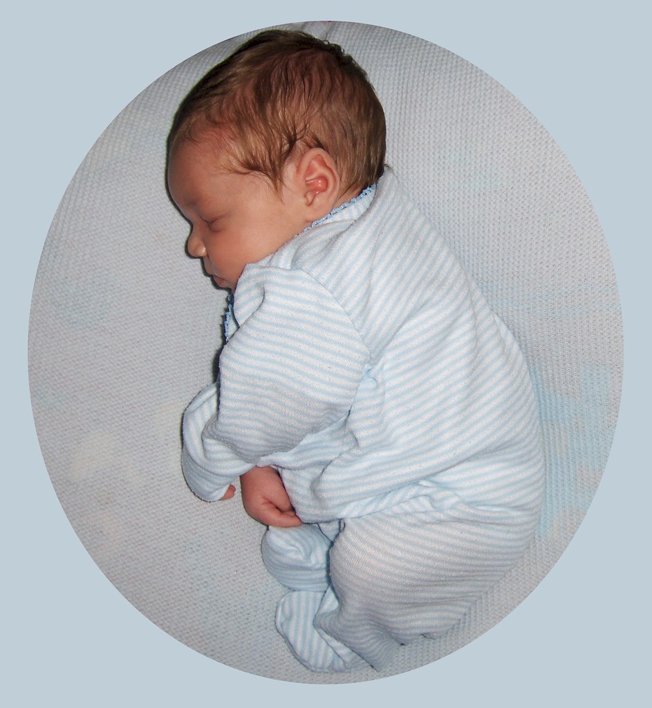 PICTURES OF BABY IN THE WOMB PICTURES OF BABY IN THE WOMB