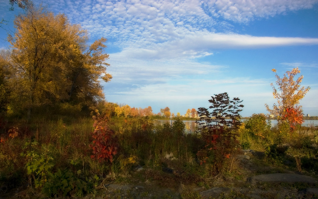 CANADIAN TIRE AYLMER CANADIAN TIRE AYLMER