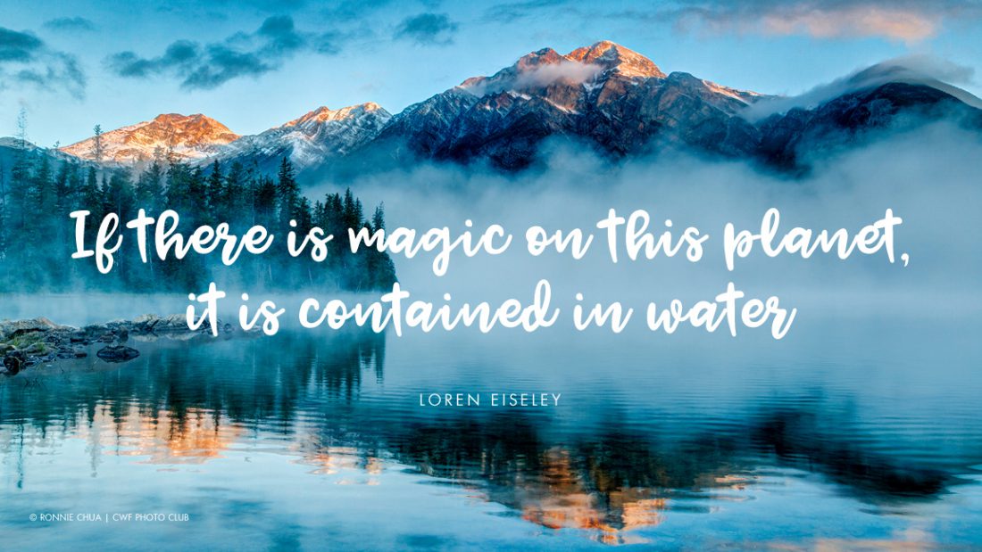 8 Quotes That Illustrate Why Water Is Life