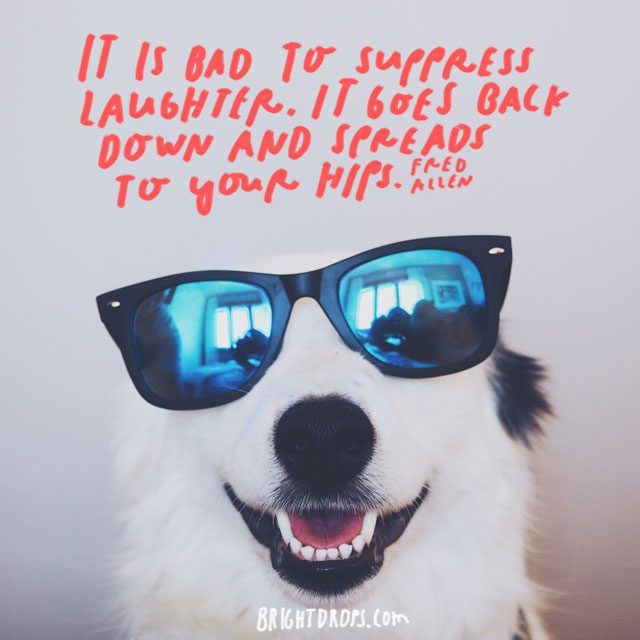 15 Funny Motivational Quotes to Inspire You Bright Drops