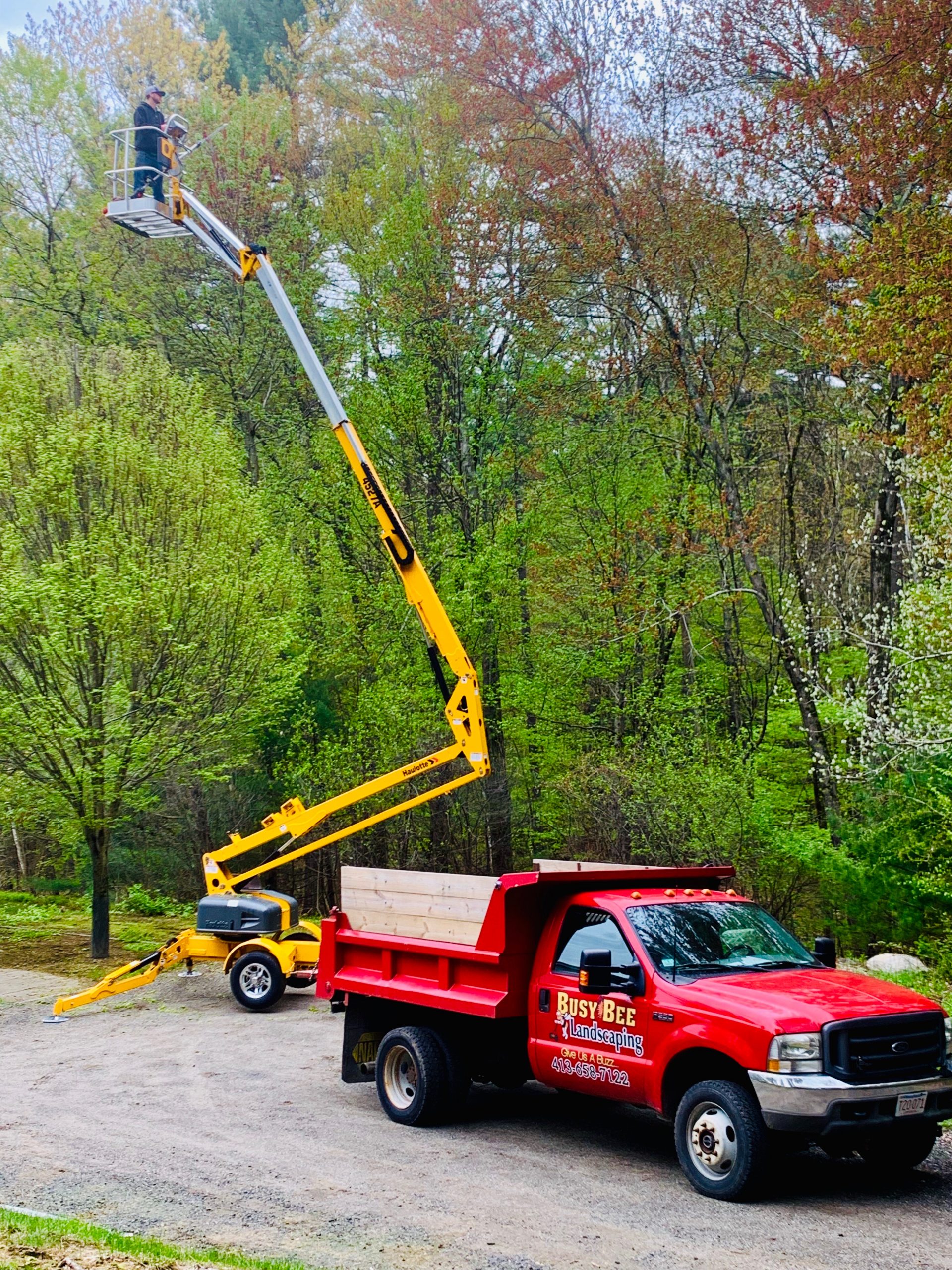 Planting & Removal Busy Bee Landscaping Amherst MA, 01002