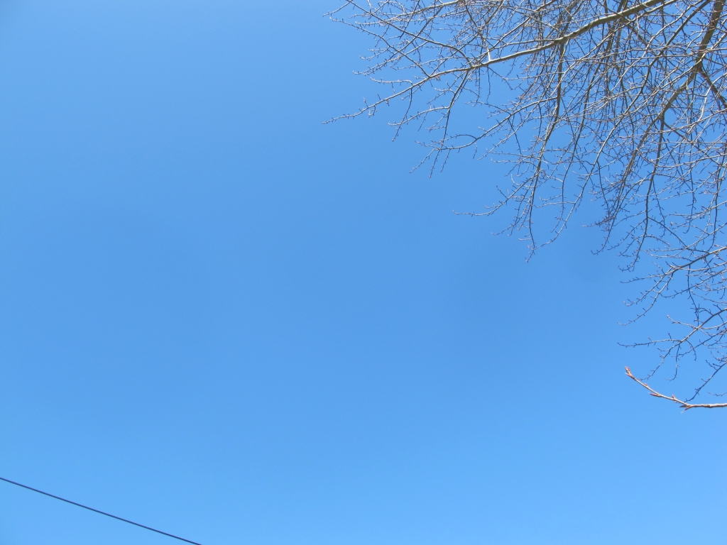 Learning Colors Outdoor Kids Activity