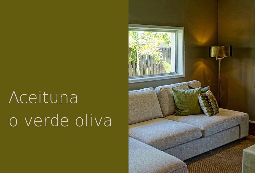 Color aceituna o verde oliva Casa y Color