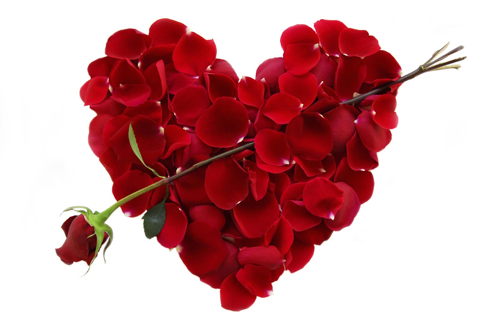 Happy Valentine’s Day! C.C. Hunter