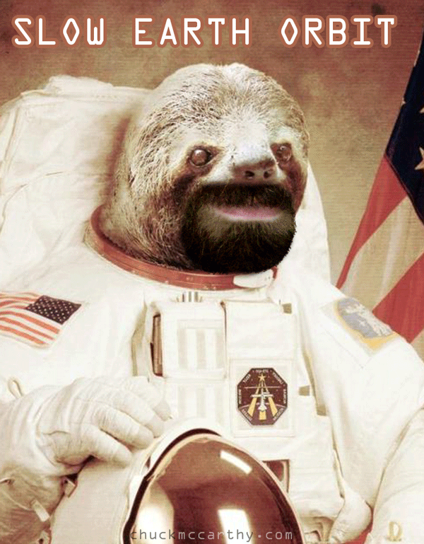 Sloth Astronaut Mission Statement Picture eBaum's World