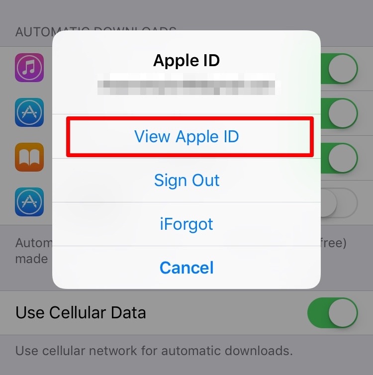How to Change Your Apple ID Credit Card Information and