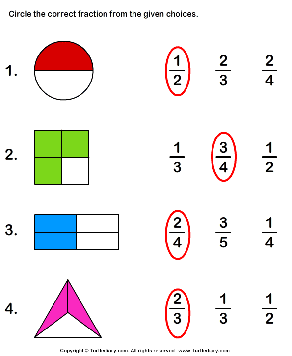 What Fraction Does the Shape Show? Worksheet Turtle Diary