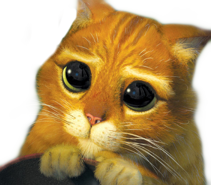 adesivo whatsapp meme memesbr Sticker by kakz