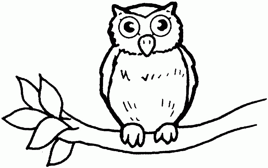 Free Owl Outline, Download Free Owl Outline png images, Free ClipArts on Clipart Library