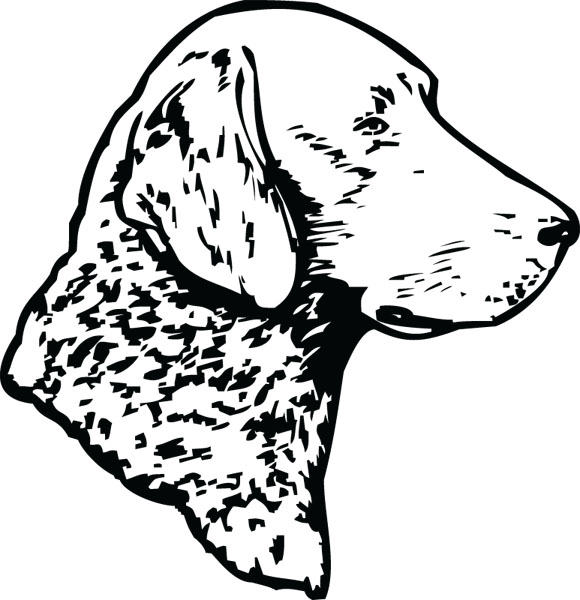 Free Chesapeake Cliparts, Download Free Chesapeake Cliparts png images, Free ClipArts on Clipart